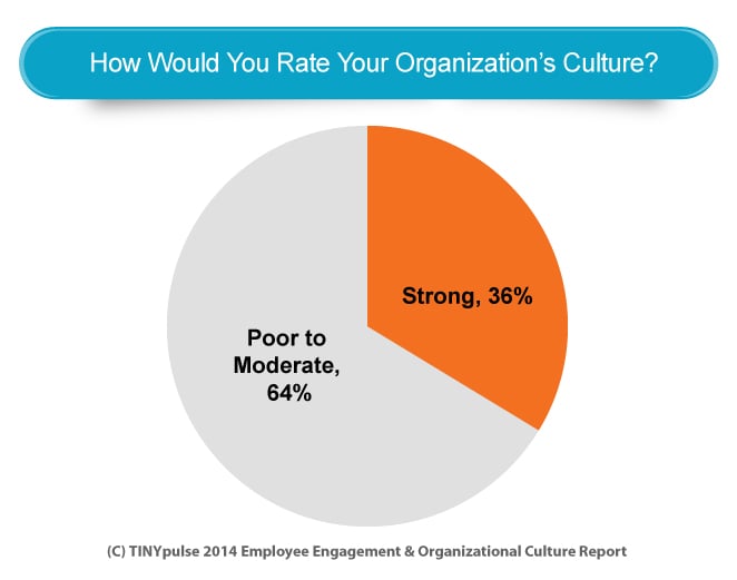 Pie Chart Organization Culture