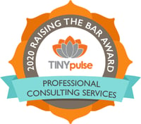 Raising the Bar - Professional Consulting Services