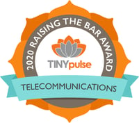 Raising the Bar - Telecommunications