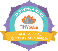 Wins - Professional Consulting Services