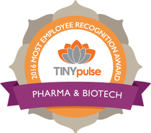 Best Companies to Work For: Big Pink - Provided by TINYpulse