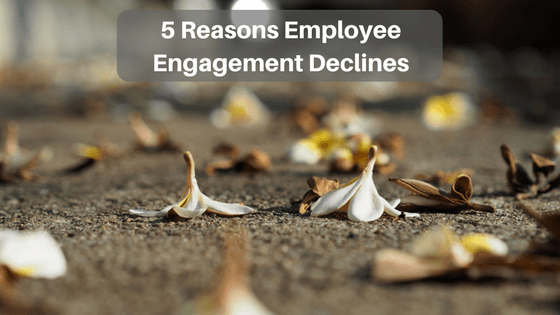 5 Common Reasons Employee Engagement Declines