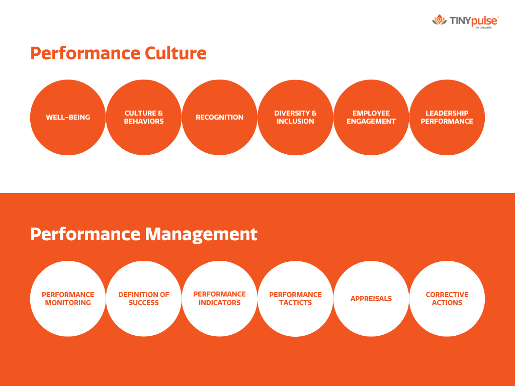 Performance Culture 