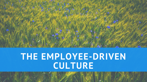 Employee-driven work culture