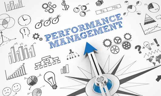 performance management, CHRO guide, TINYpulse