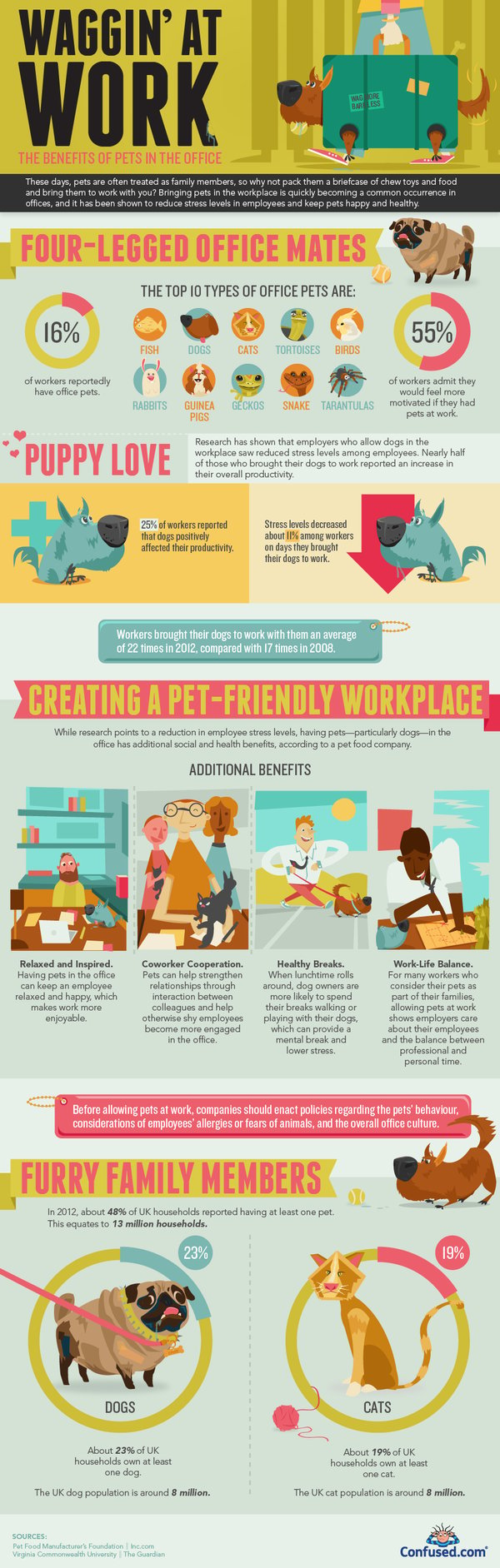 pets-in-the-office