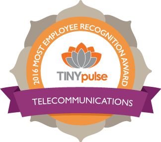 recognition_telecomunications-1.png
