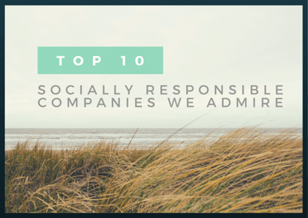 Top 10 Socially Responsible Companies We Admire by TINYpulse