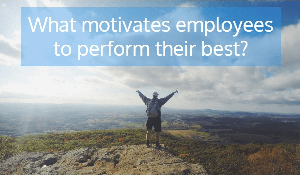 What-motivates-employees-to-perform-their-best.png