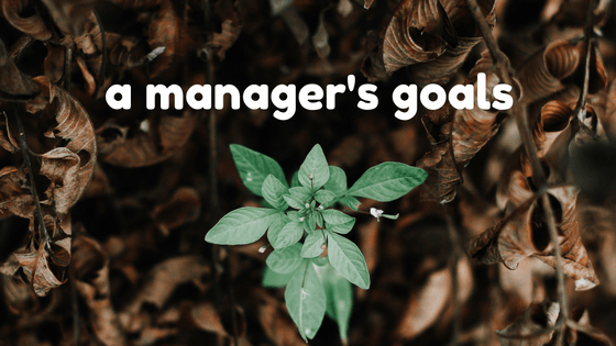 A Managers Goals