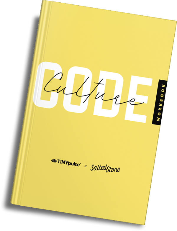 Culture Code Workbook mockup 2-3